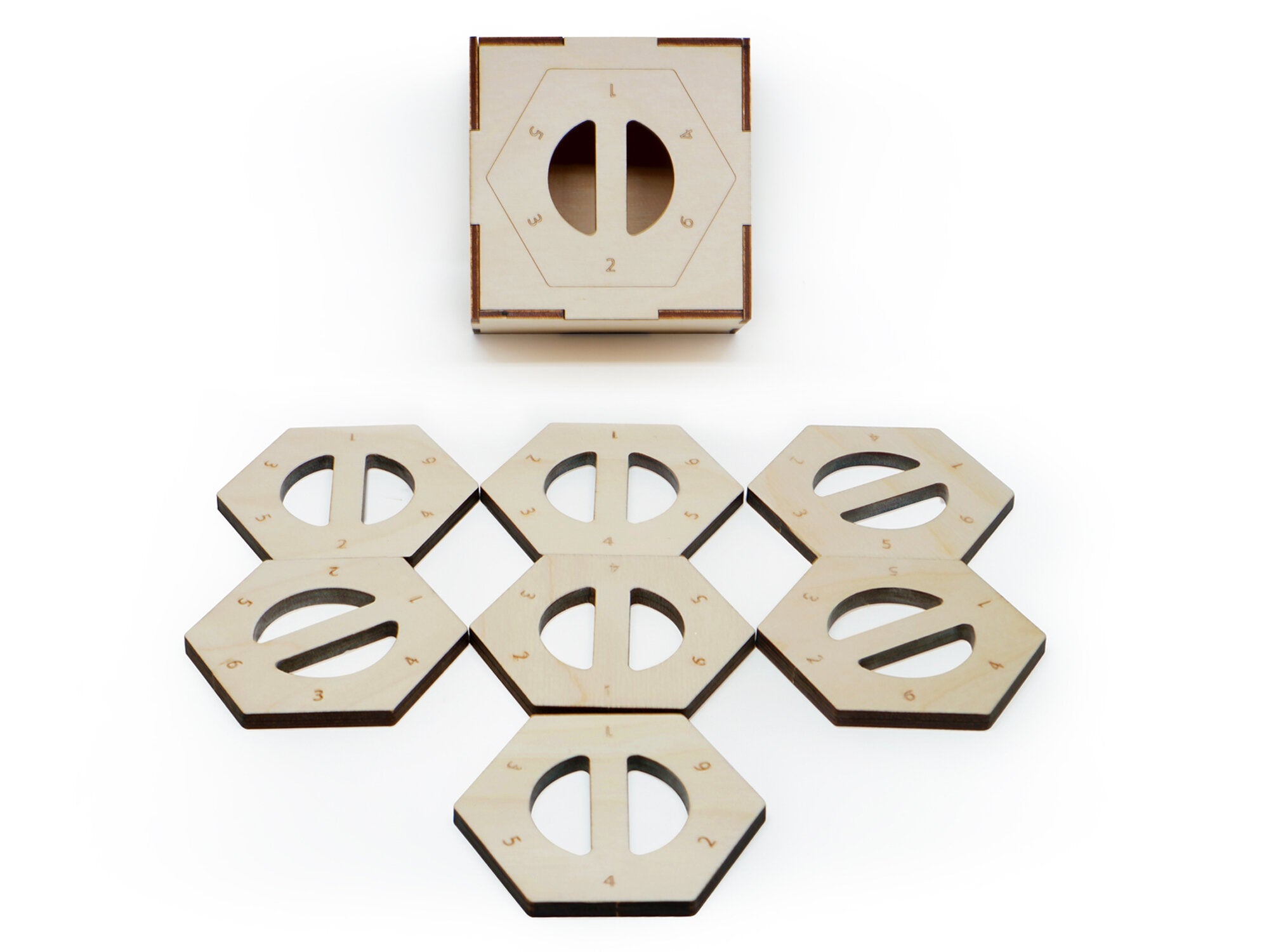 Puzzle Master ScienceSeeds puzzle-master-scienceseeds